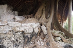 San Gervasio - Cozumel