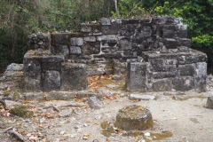 San Gervasio - Cozumel