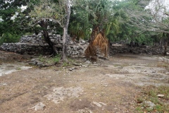 San Gervasio - Cozumel