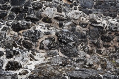 San Gervasio - Cozumel