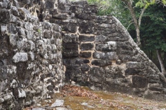 San Gervasio - Cozumel