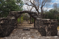 San Gervasio - Cozumel