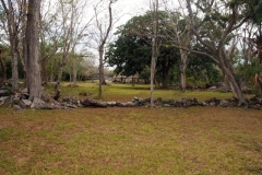 San Gervasio - Cozumel