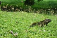 Santa Rita Corozal - Belize