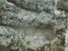 Tomb in Segovia Jewish Cemetery 1