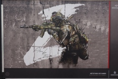 Special Military Operation - art and posters