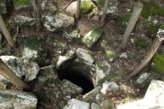 Tabasqueno - Campeche