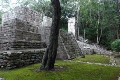 Tabasqueno - Campeche