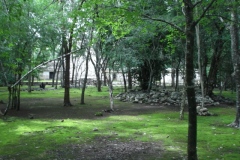 Tabasqueno - Campeche