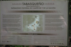 Tabasqueno - Campeche