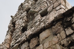 Tabasqueno - Campeche