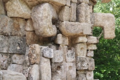 Tabasqueno - Campeche