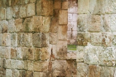 Tabasqueno - Campeche