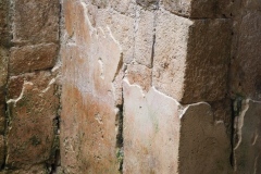 Tabasqueno - Campeche