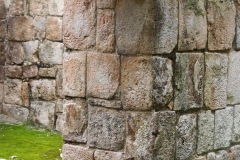 Tabasqueno - Campeche