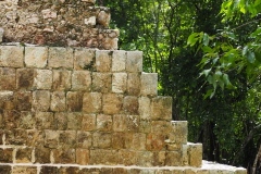 Tabasqueno - Campeche