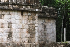 Tabasqueno - Campeche