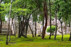 Tabasqueno - Campeche