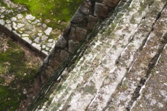 Tabasqueno - Campeche