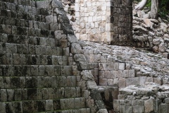 Tabasqueno - Campeche