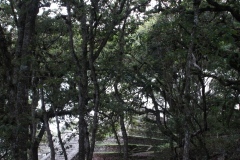 Tenam Puente - Chiapas