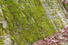 Tenam Puente - Chiapas