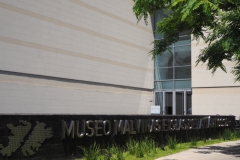The Malvinas (and Islands of the South Atlantic) Museum