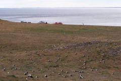 Isla Magdelena Megellan Peguin Colony, Punta Arenas