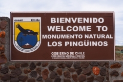 Isla Magdelena Megellan Peguin Colony, Punta Arenas