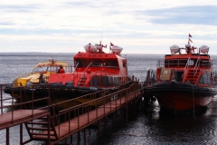 Isla Magdelena Megellan Peguin Colony, Punta Arenas