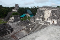 Tikal - Guatemala