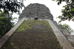 Tikal - Guatemala