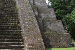 Tikal - Guatemala