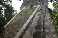 Tikal - Guatemala