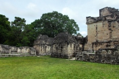 Tikal - Guatemala