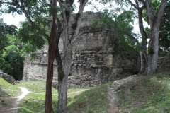 Tikal - Guatemala