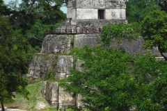 Tikal - Guatemala
