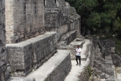 Tikal - Guatemala
