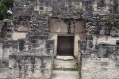 Tikal - Guatemala