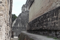 Tikal - Guatemala