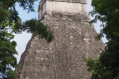 Tikal - Guatemala