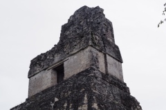 Tikal - Guatemala