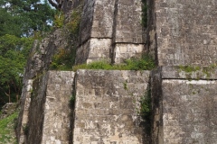 Tikal - Guatemala