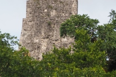 Tikal - Guatemala