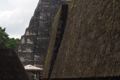 Tikal - Guatemala