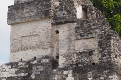 Tikal - Guatemala