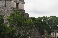Tikal - Guatemala