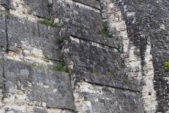 Tikal - Guatemala