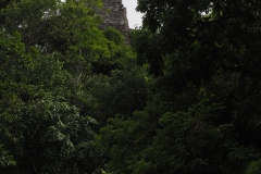 Tikal - Guatemala