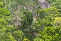 Tikal - Guatemala